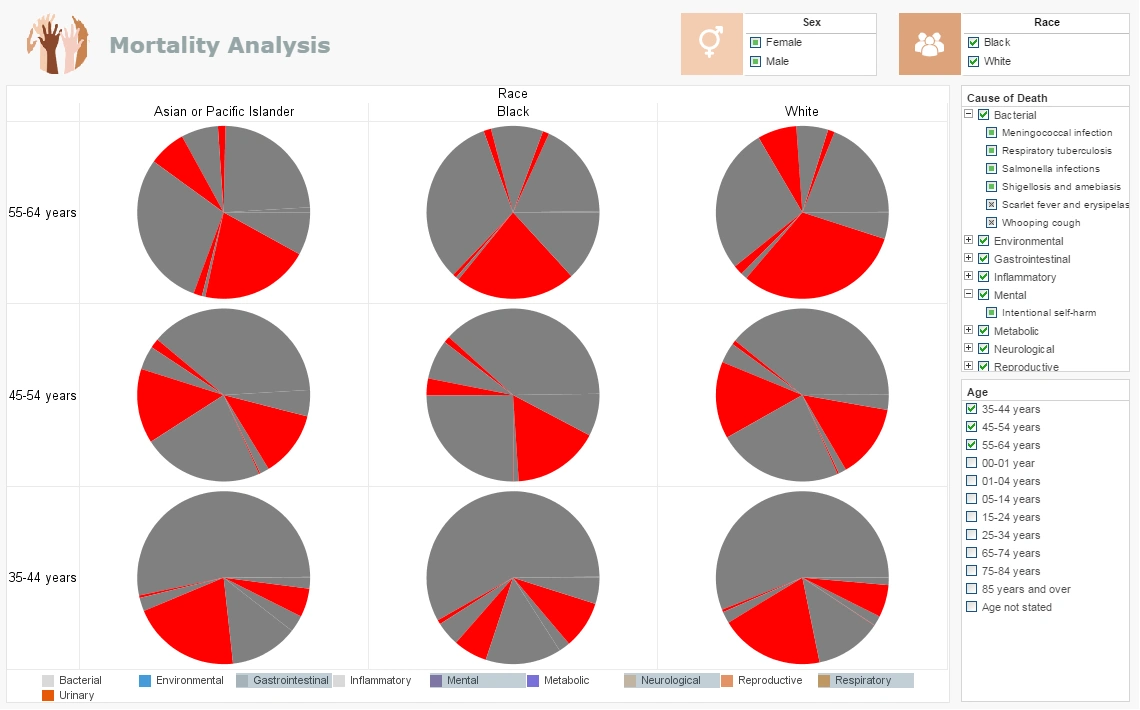 Click to enlarge this Medical Clinic Dashboard Example Medical Clinic Dashboard Example